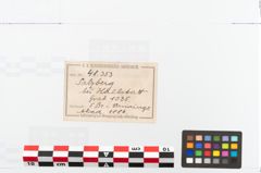Foto von Bronzearmreif (NHMW-PRAE-048353)
